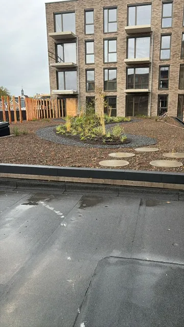 Afgewerkte daktuin met beplanting naast een plat dak met bitumen